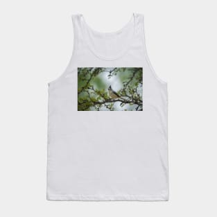 Black Crested Titmouse Little Beauty Tank Top